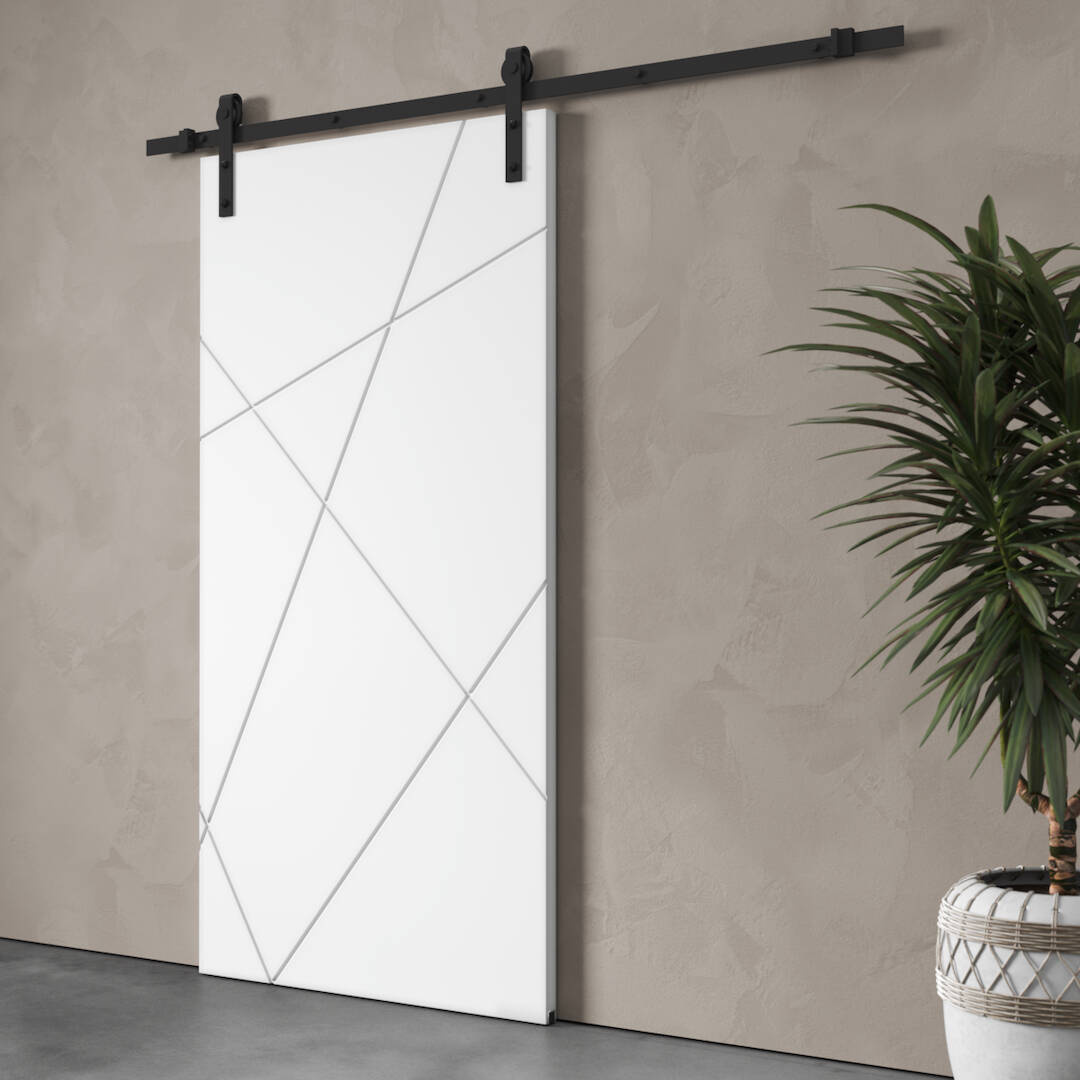 The Klaus 83" x 40" Geometric Barn Door in sleek white with geometric lines is mounted on a black track, situated next to a green potted plant.