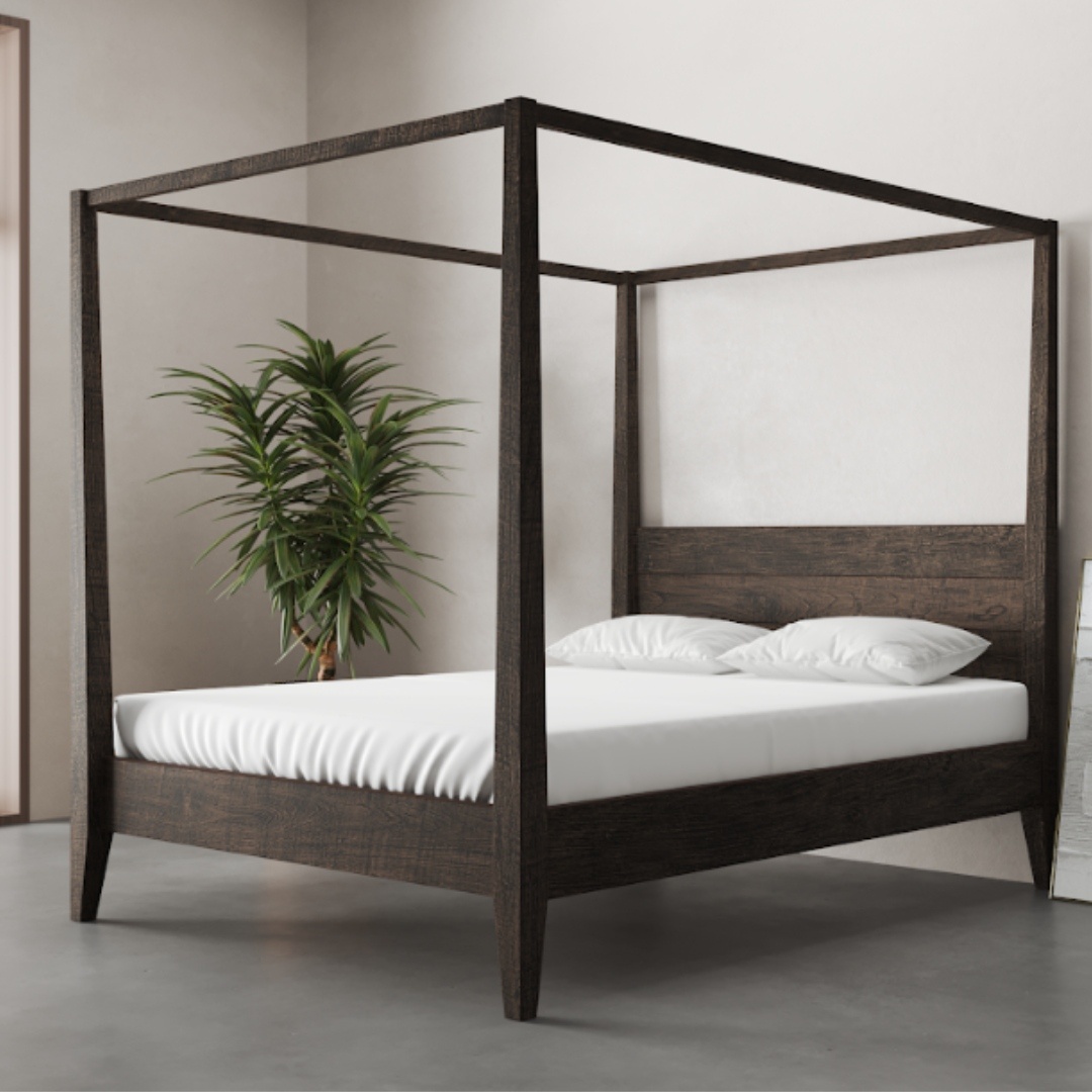 A Riviera Bed (Café Noire) with white bedding stands in a minimalistic room with a potted plant in the corner.