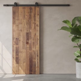 A Vertical Door Slab is installed against a beige wall next to a large green potted plant.