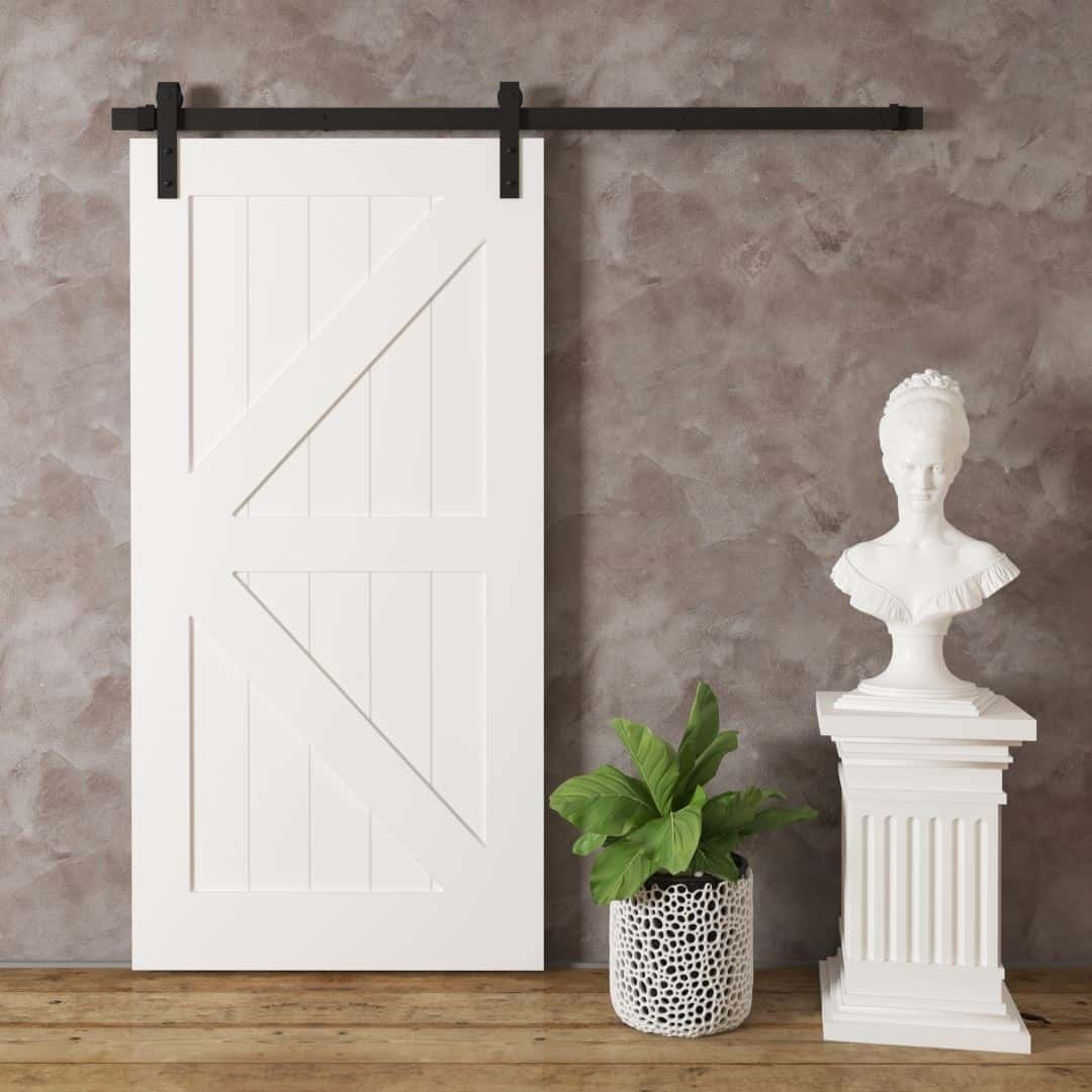 A British Brace Barn Door on a black track, next to a leafy potted plant and a white bust on a pedestal, set against a textured gray wall background.