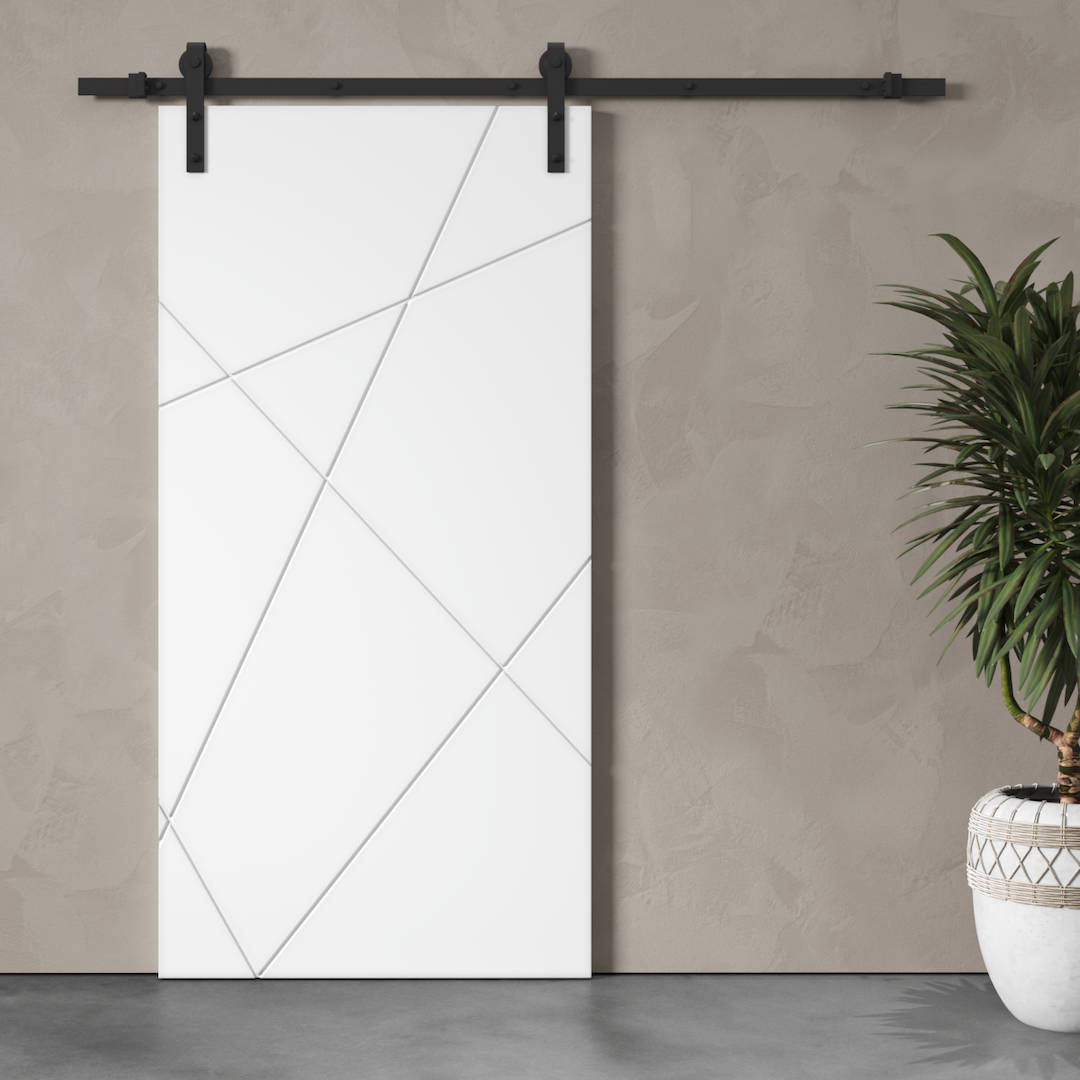 A Klaus Geometric Barn Door, featuring modern white sliding panels with geometric line patterns, hangs on a wall near a potted plant.