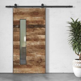 A Maison Reclaimed Wood - Frosted Glass Door, mounted on a black metal track, is positioned next to a potted plant against a white wall.